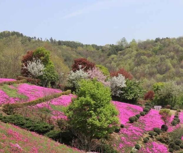 진안 가볼만한곳 베스트 10
