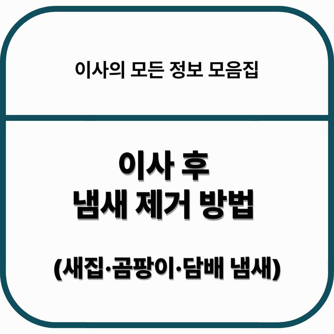 이사 후 냄새 제거 방법