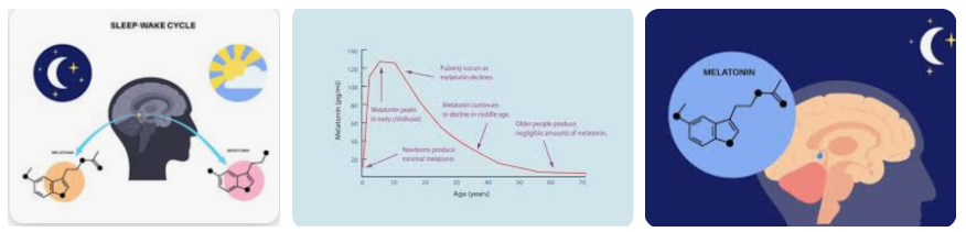 식물성 멜라토닌