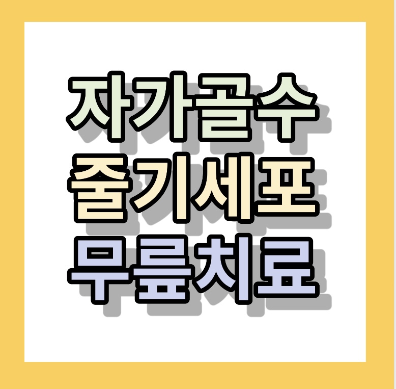 자가골수줄기세포 무릎치료