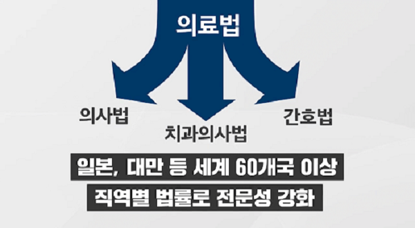 간호법 내용