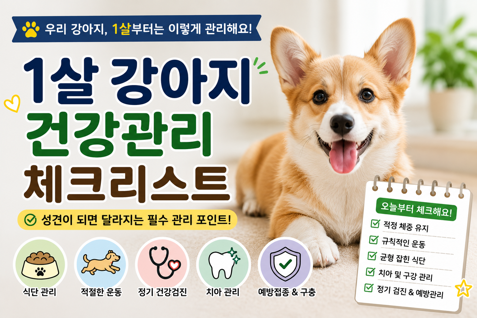 1살 강아지 건강관리 체크리스트