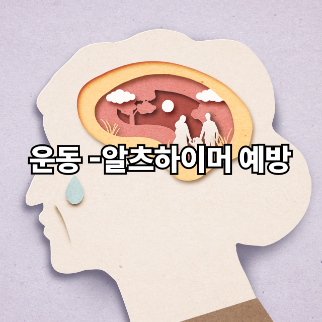 40대 이상 운동 안 하면? 뇌 건강 위협! 알츠하이머 예방하려면 꼭 해야 할 운동 습관