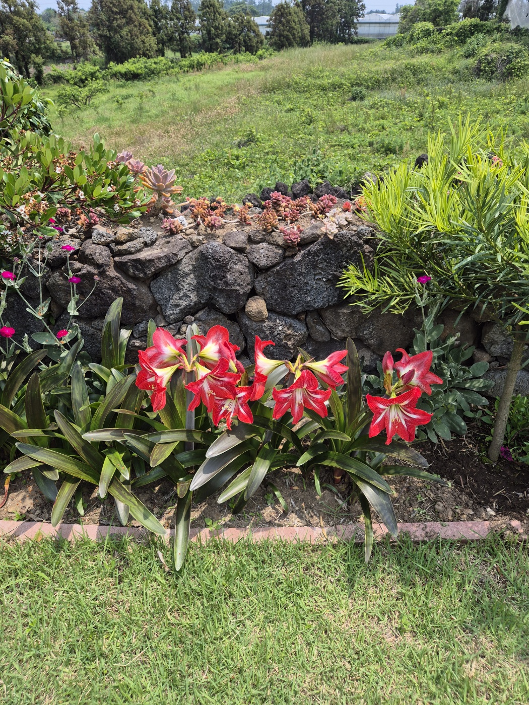 2025년 건강보험료 환급금 대상 확인법