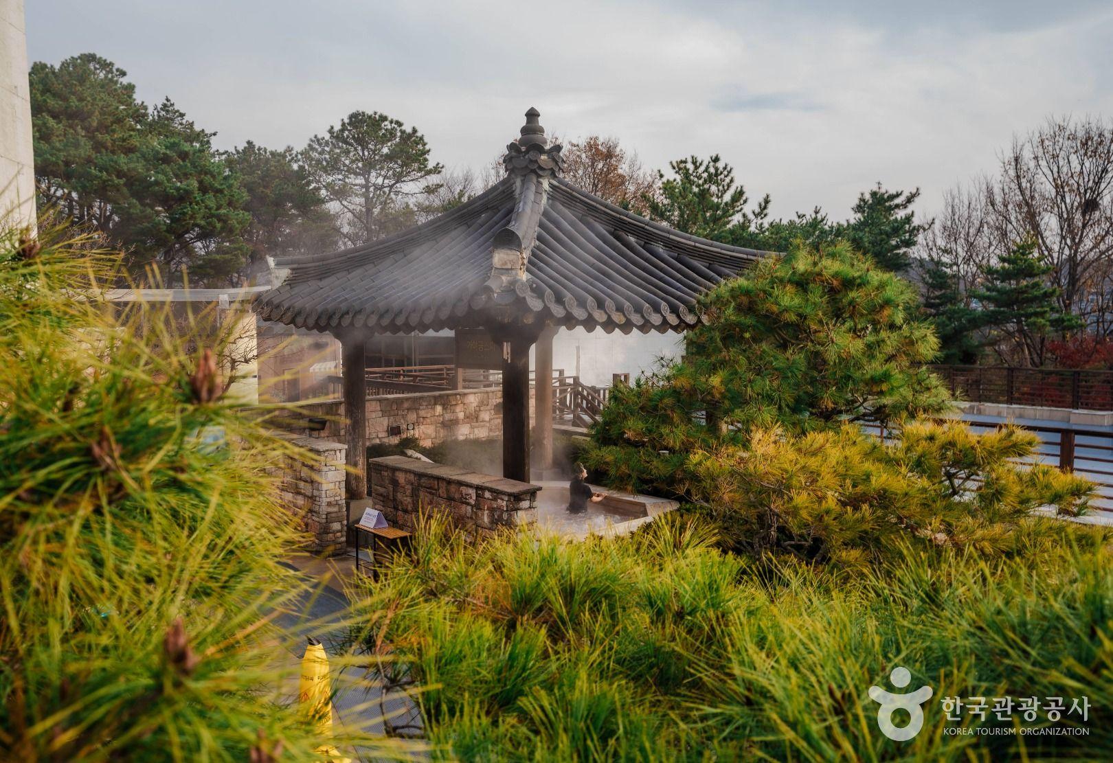 전통적인 분위기의 가야금스파