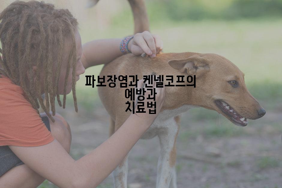 파보장염과 켄넬코프의 예방과 치료법