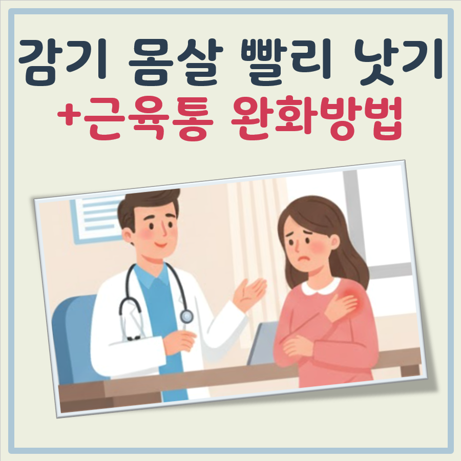 감기 몸살 빨리 낫는법(근육통 완화방법 포함) 대표 이미지