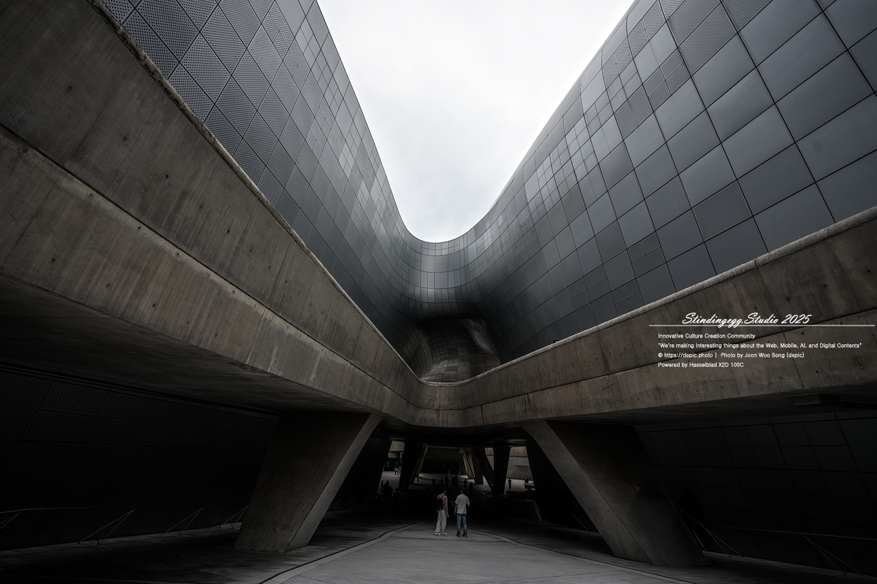 #서울 #동대문디자인플라자 #패션 #디자인 #DDP