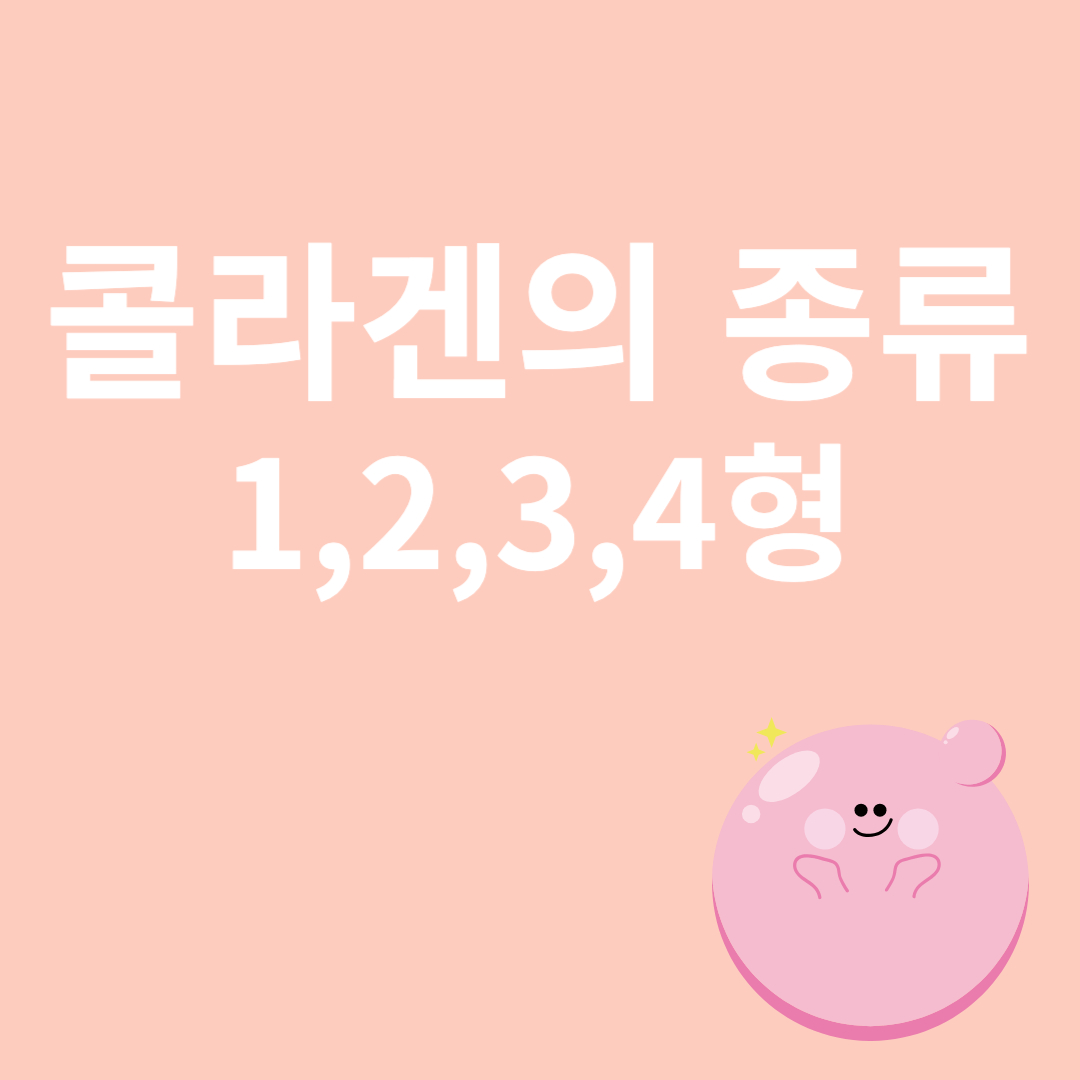 콜라겐의 종류와 관련된 이미지