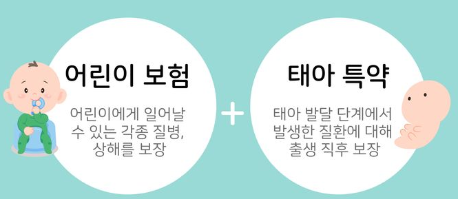 태아보험의 선택요령