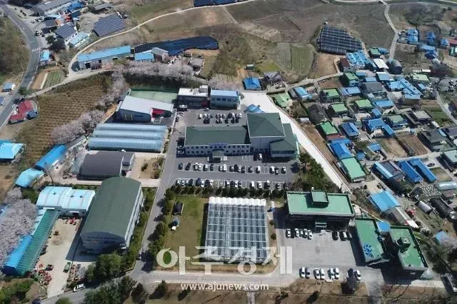 구아노
