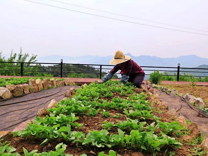 6시내고향 구례 지리산 팜스테이 산나물 밥상 맛집