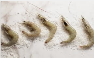 대하의 효능