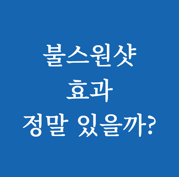 불스원샷 효과 정말 있을까? 실제 후기와 진실