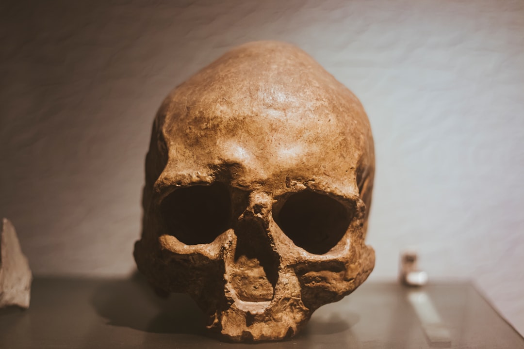 ancestor