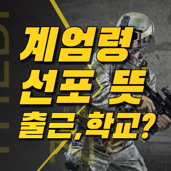 계엄령 선포