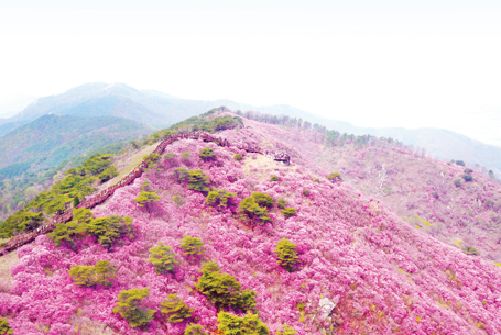 고려산2