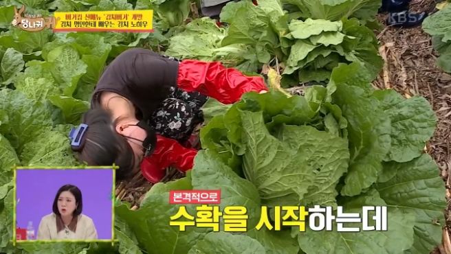 김효숙 명인 프로필