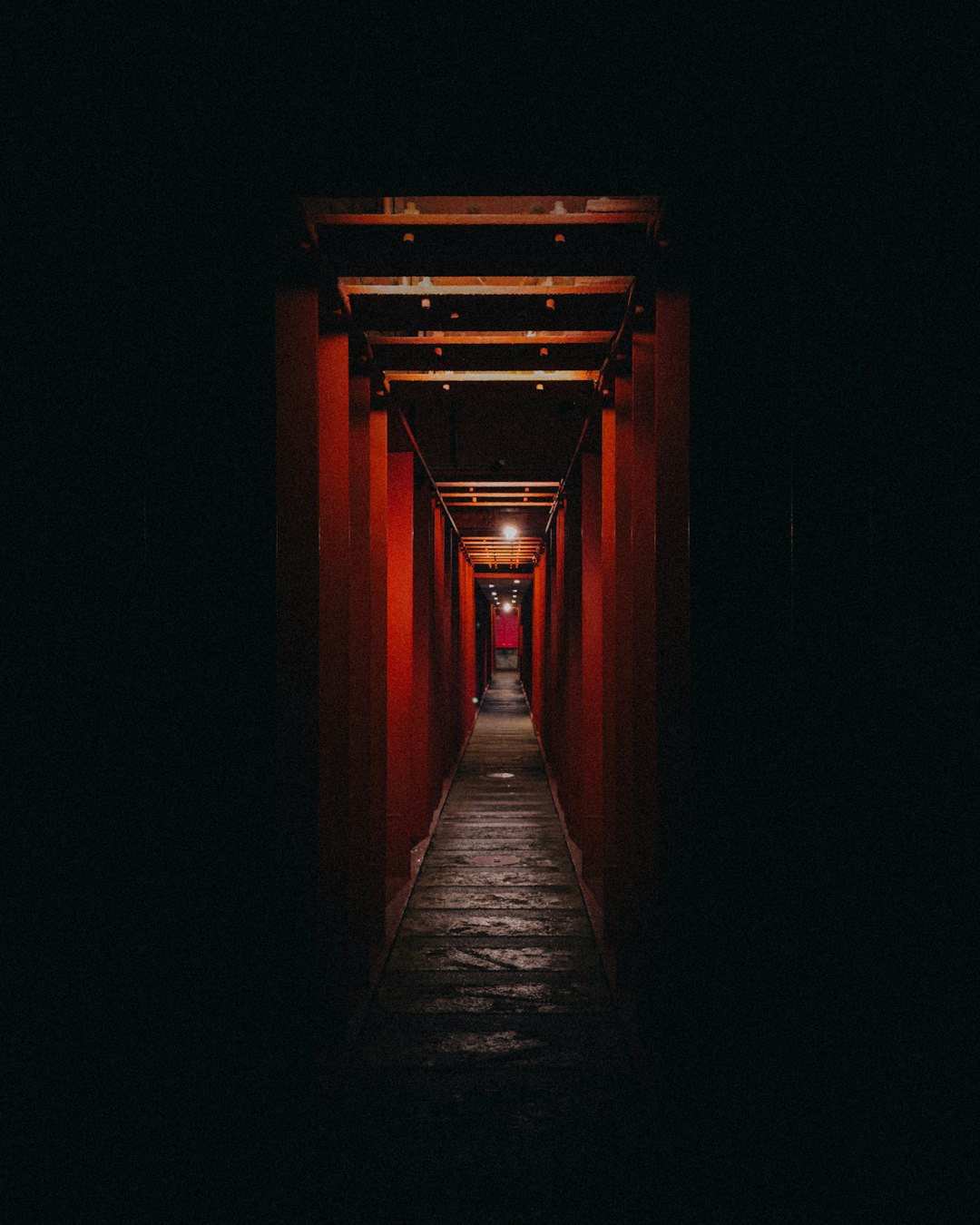 레일플러스 유심 무관: 교통카드 사용의 새로운 패러다임 관련 이미지 1