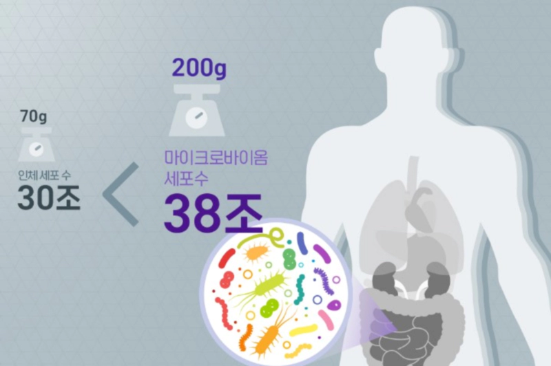 마이크로 바이옴이란?