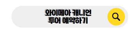 하와이 신혼여행