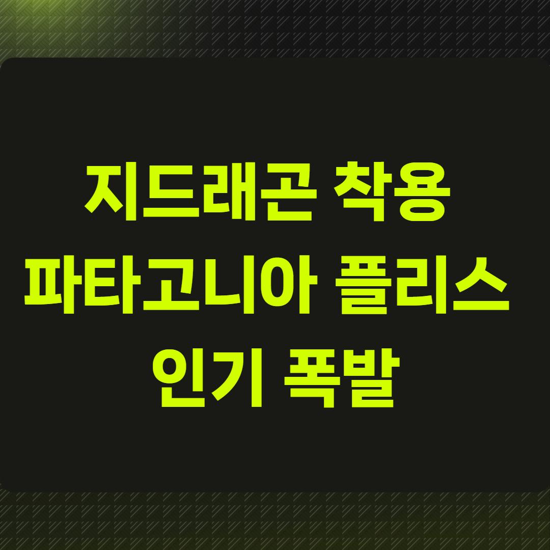 지드래곤 착용 파타고니아 플리스 인기 폭발