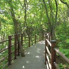 고대산자연휴양림