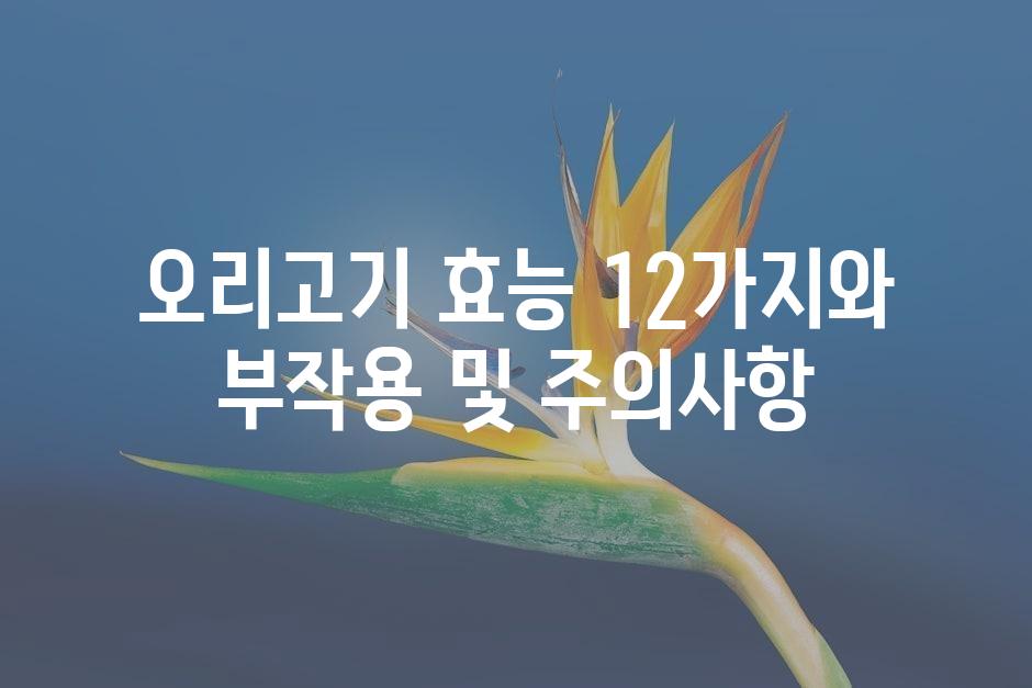 샘플 (45)