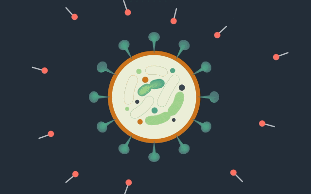 손소독제 코로나 비누,팁줌