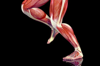 근육통 빨리 푸는법