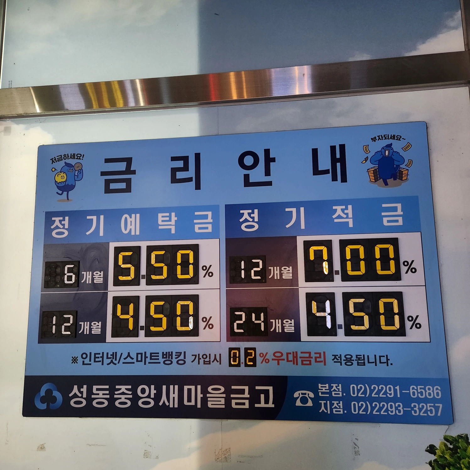 성동중앙 새마을금고 정문 앞에 붙어 있는 금리 현황표. 7% 적금 5.5% 정기예금