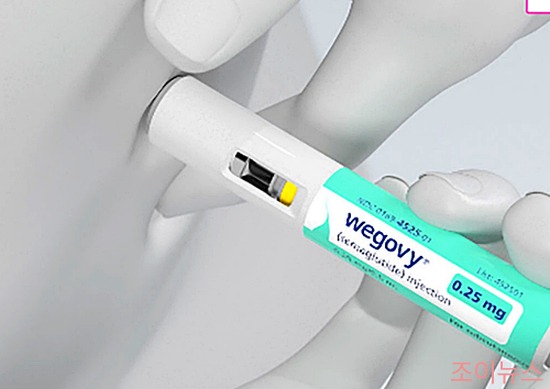 위고비 처방 및 주사 시 주의사항