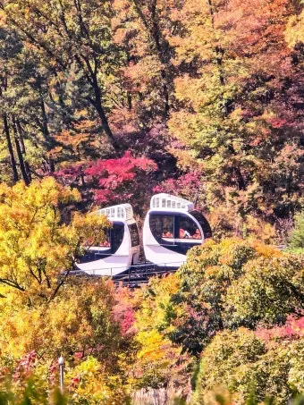 화담숲 단풍 절정시기 예약 방법까지 정리_22