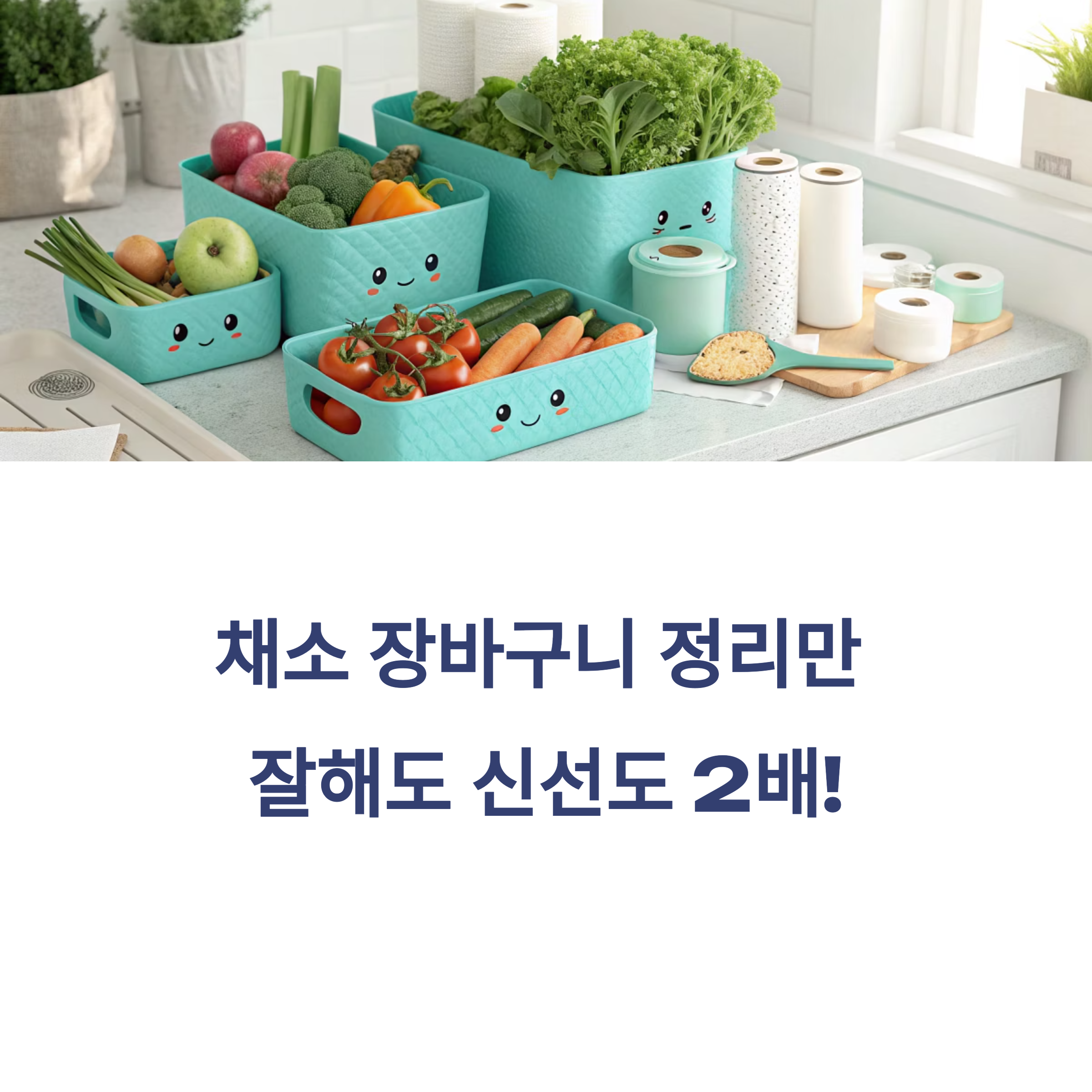채소 장바구니 정리만 잘해도 신선도가 2배!