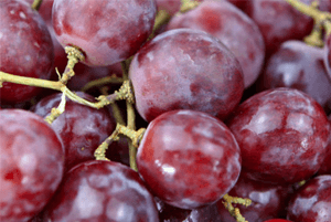 신장에좋은과일21