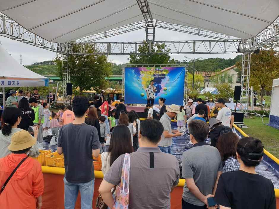 영동포도축제 일정