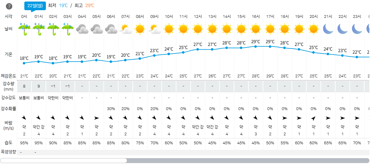 대구 실시간 날씨 예보 확인