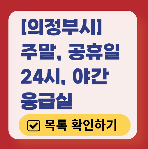 의정부시 응급실 운영 병원 리스트 ❘ 주말, 토요일, 일요일, 공휴일 응급의학과 ❘ 24시 야간 응급진료 가능한 곳