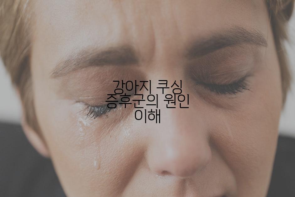 강아지 쿠싱 증후군의 원인 이해