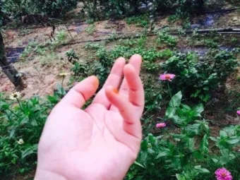소나기 가능성 세탁 건조 시간 실내 빨래 냄새 해결_15