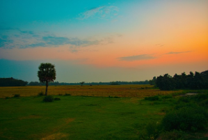 자연을 품은 건축, 바이오필릭 디자인이란 무엇인가