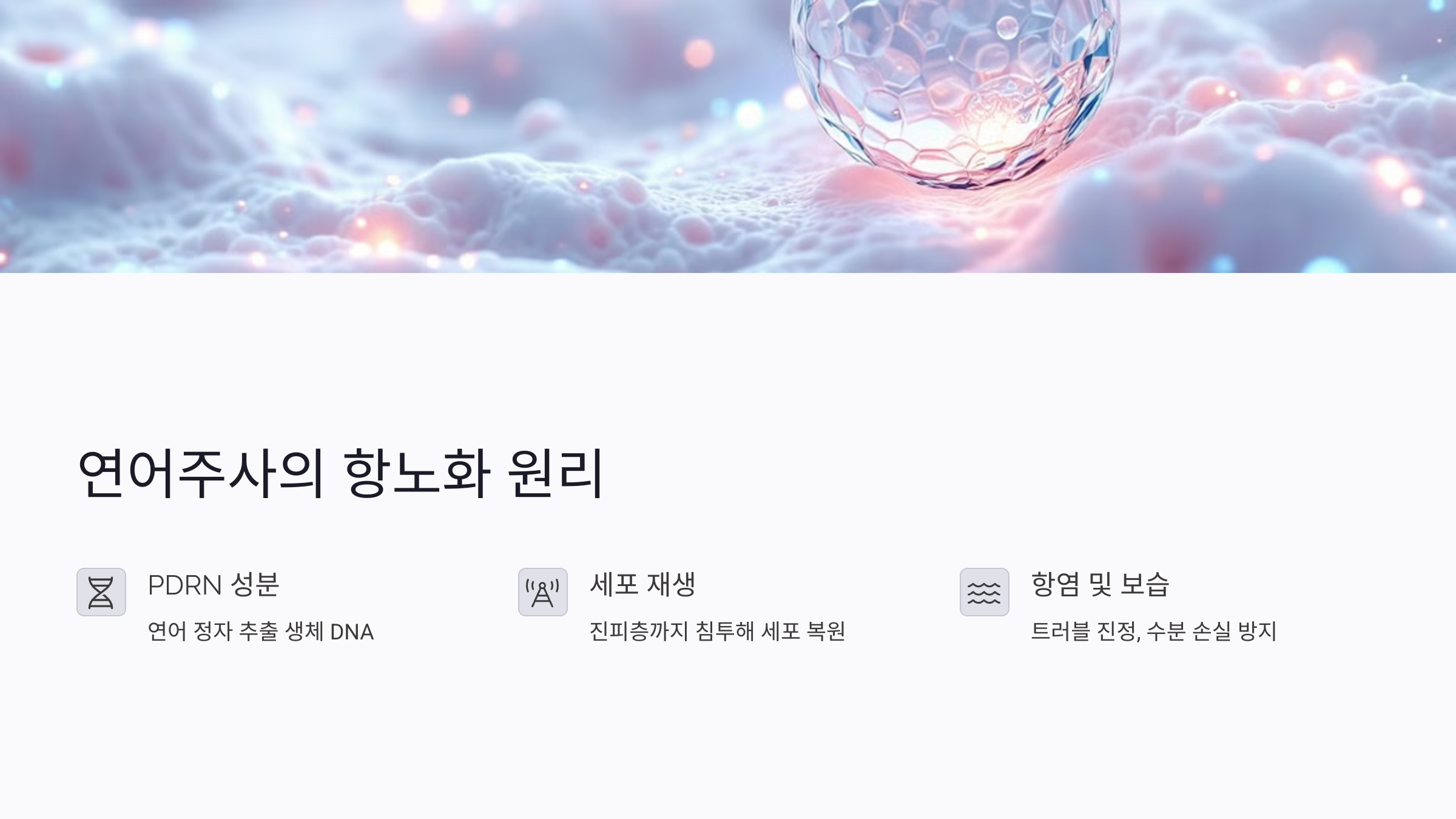 연어주사의 항노화 원리와 작용 방식