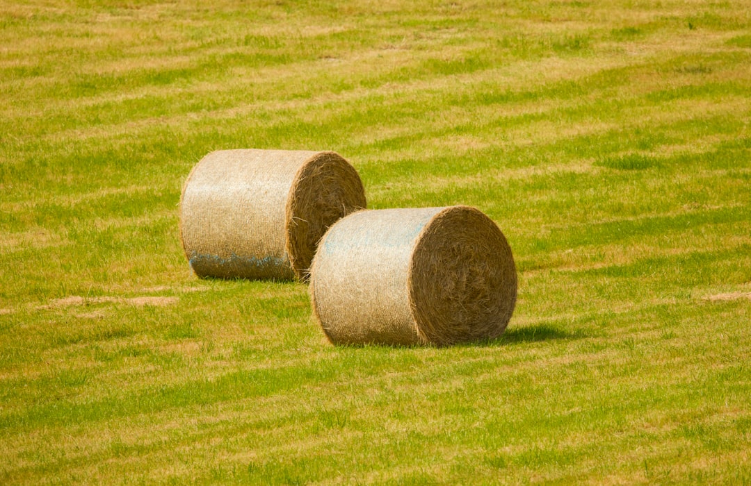 Agricultural Land
