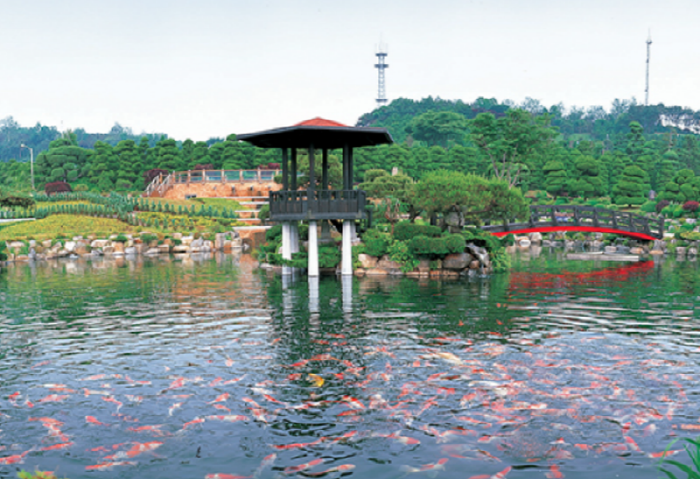 베어트리파크