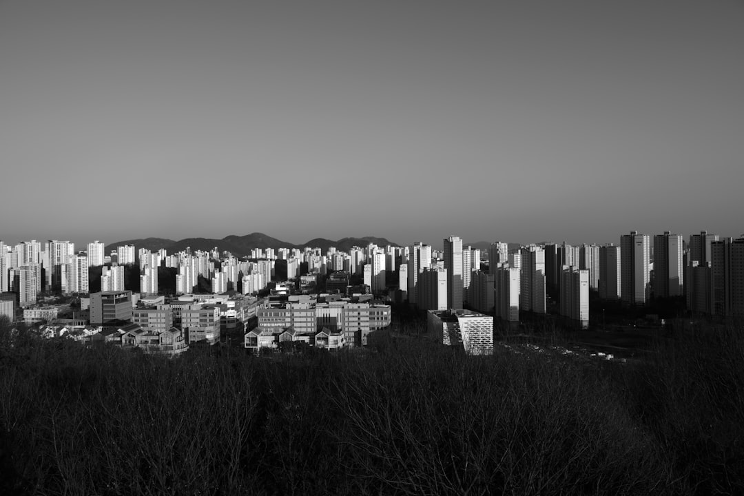 Sejong