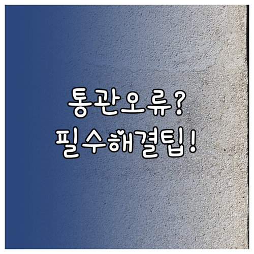 개인통관부호 오류로 인한 통관 지연 ..