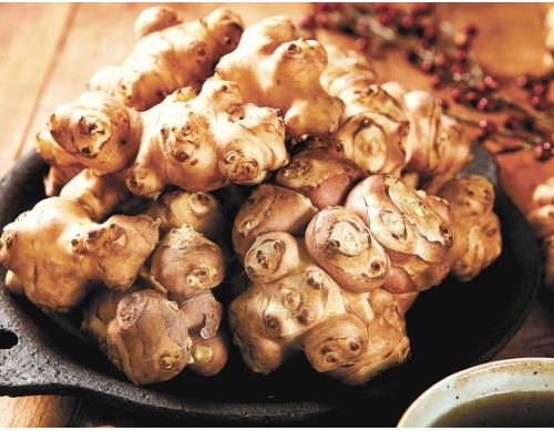 돼지감자차 효능