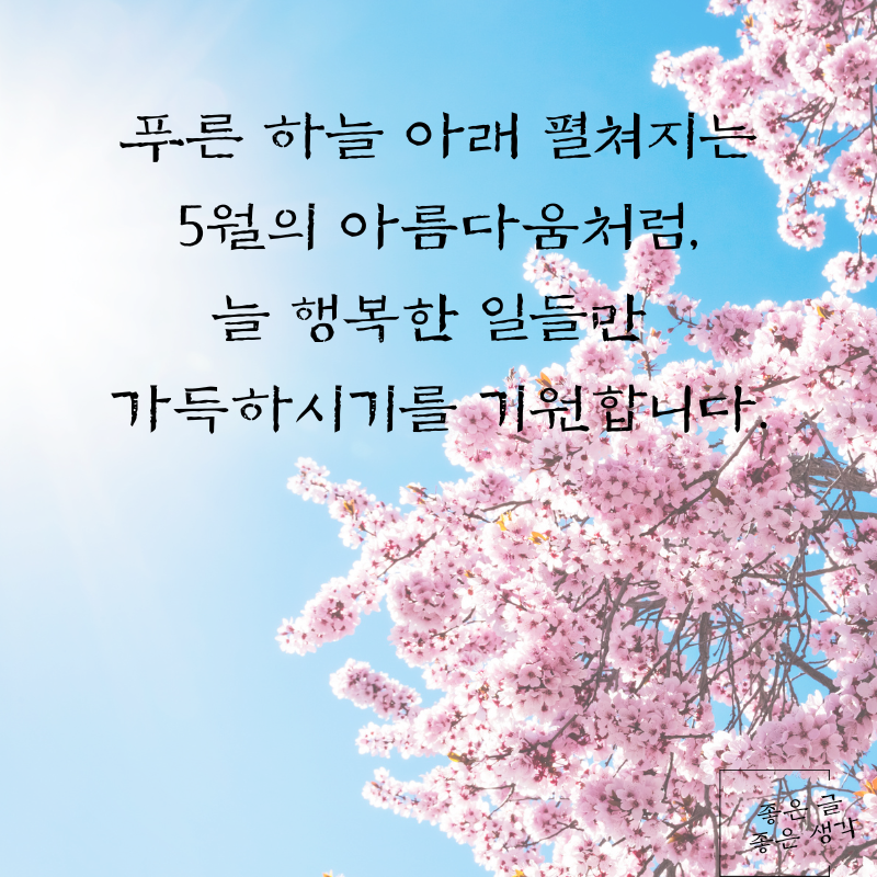 5월 인사말 문구 이미지 모음집 카톡 문자 메세지