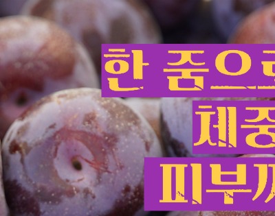 푸룬 건자두 효능 부작용