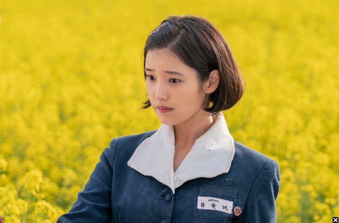 폭삭 속았수다 이미지 사진